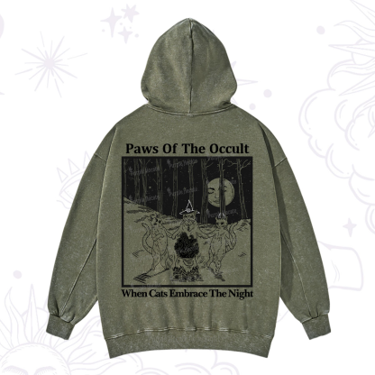 Purplehecate Witchy Cats Washed Hoodie