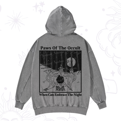 Purplehecate Witchy Cats Washed Hoodie