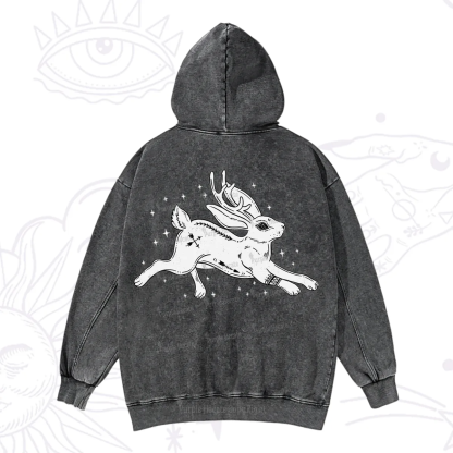 Purplehecate Starwitch Familiar Washed Hoodie