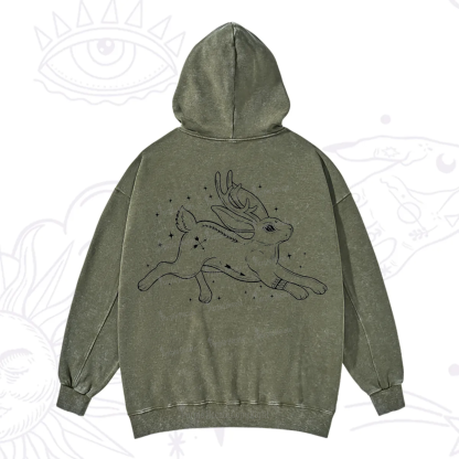 Purplehecate Starwitch Familiar Washed Hoodie