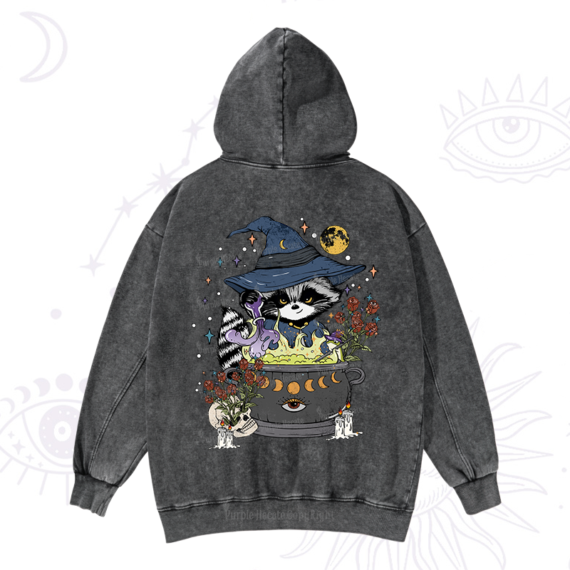Alchemy Journey of the Raccoon Washed Hoodie