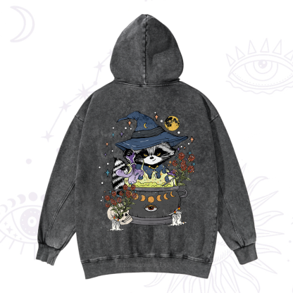 Alchemy Journey of the Raccoon Washed Hoodie