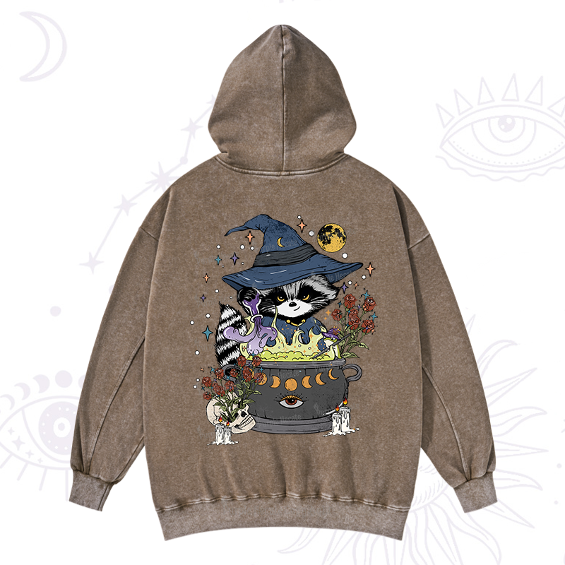 Alchemy Journey of the Raccoon Washed Hoodie