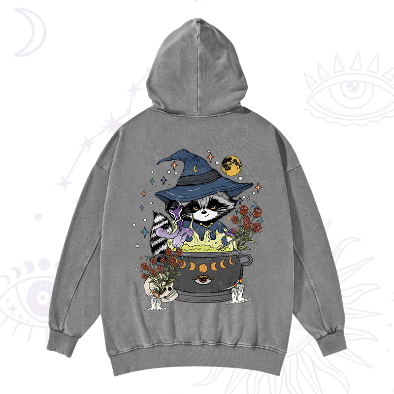 Alchemy Journey of the Raccoon Washed Hoodie
