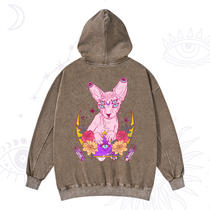 Purplehecate Moon Phase Cat Washed Hoodie