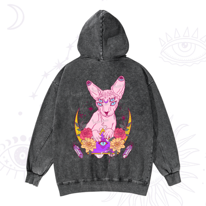 Purplehecate Moon Phase Cat Washed Hoodie