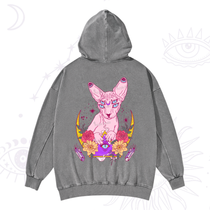 Purplehecate Moon Phase Cat Washed Hoodie