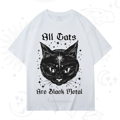 Purplehecate All Cats Are Black Metal T-Shirt