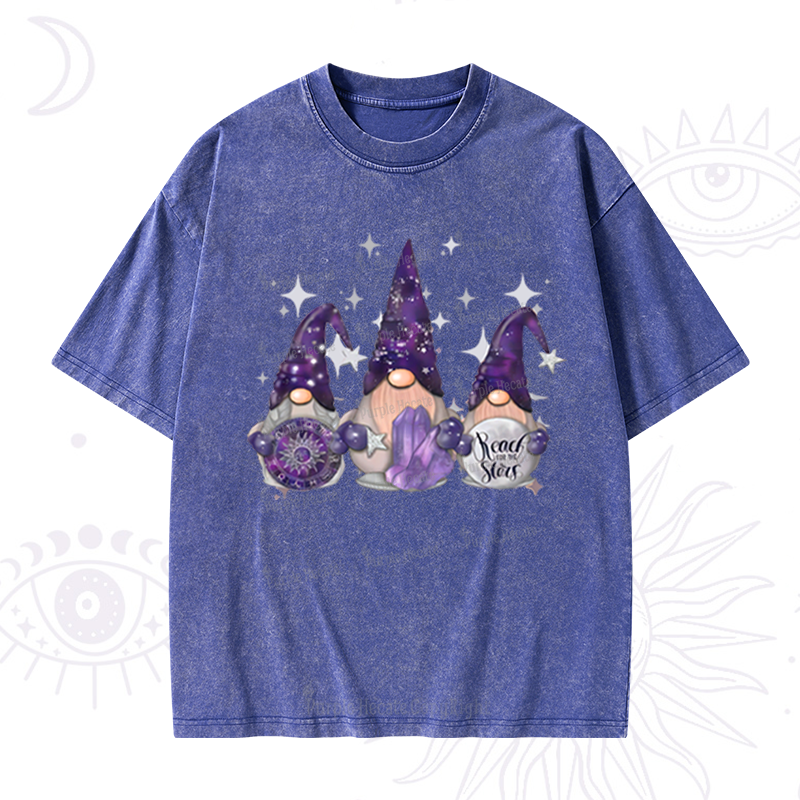 Purplehecate Christmas Cute Gnome Washed T-Shirt