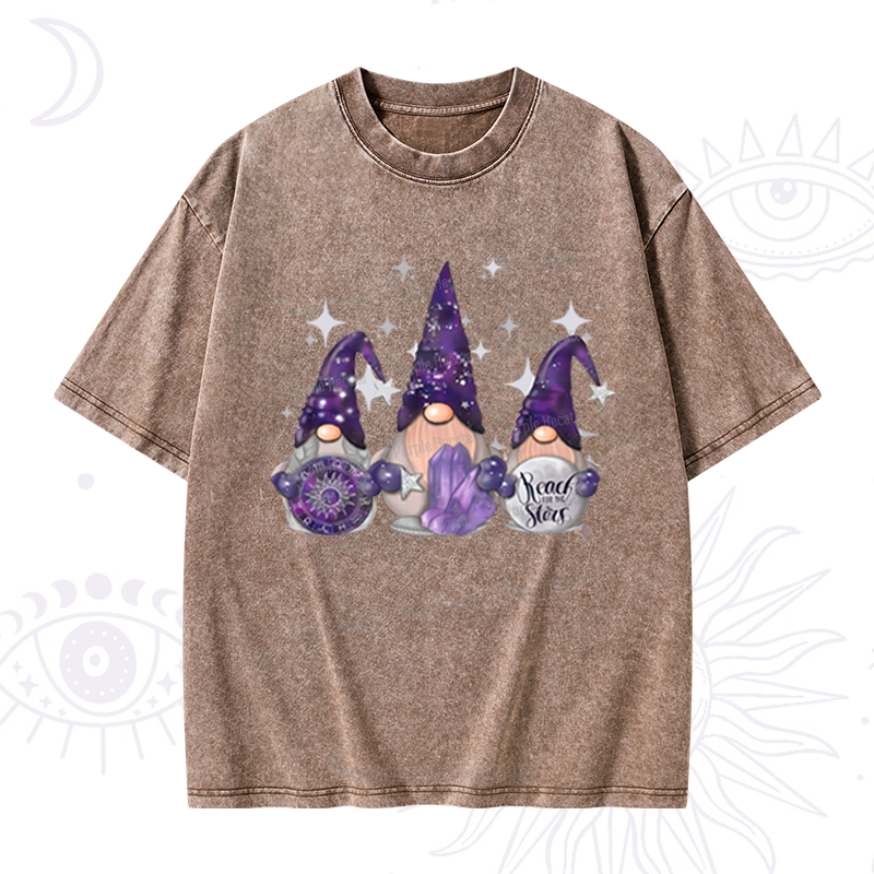 Purplehecate Christmas Cute Gnome Washed T-Shirt
