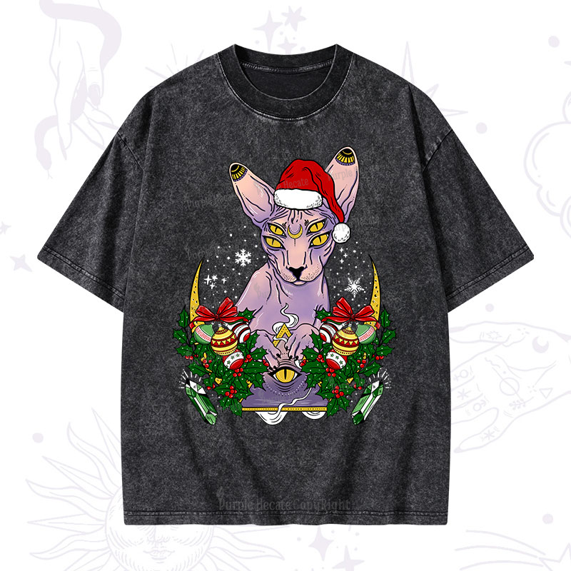 Purplehecate Christmas Moon Phase Cat Washed T-Shirt