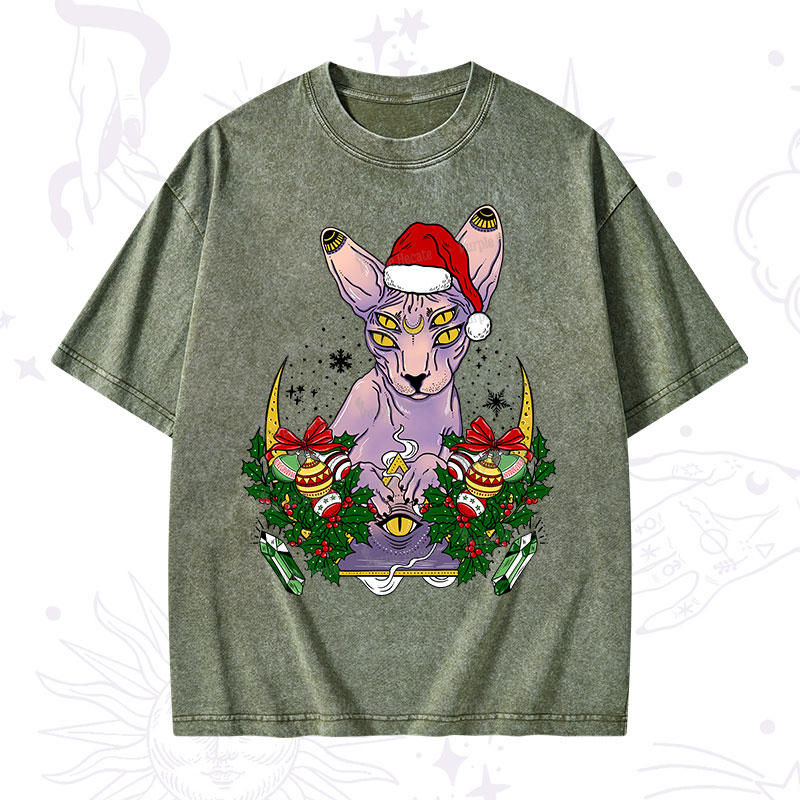 Purplehecate Christmas Moon Phase Cat Washed T-Shirt