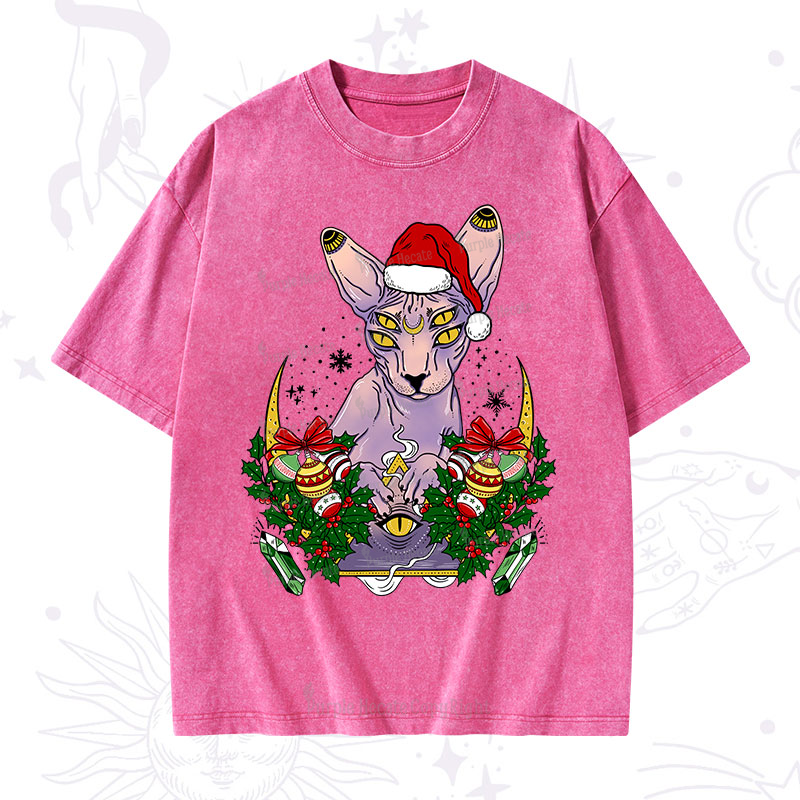 Purplehecate Christmas Moon Phase Cat Washed T-Shirt