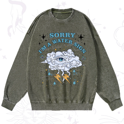 Purplehecate Sorry I'm A Water Sign Washed Sweatshirt