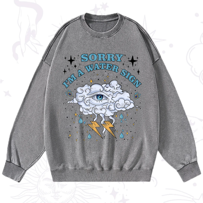Purplehecate Sorry I'm A Water Sign Washed Sweatshirt