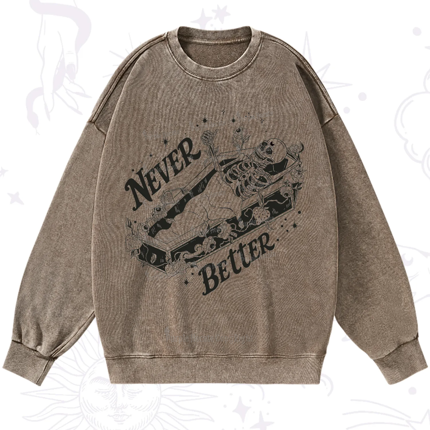 Purplehecate Never Better Washed Sweatshirt