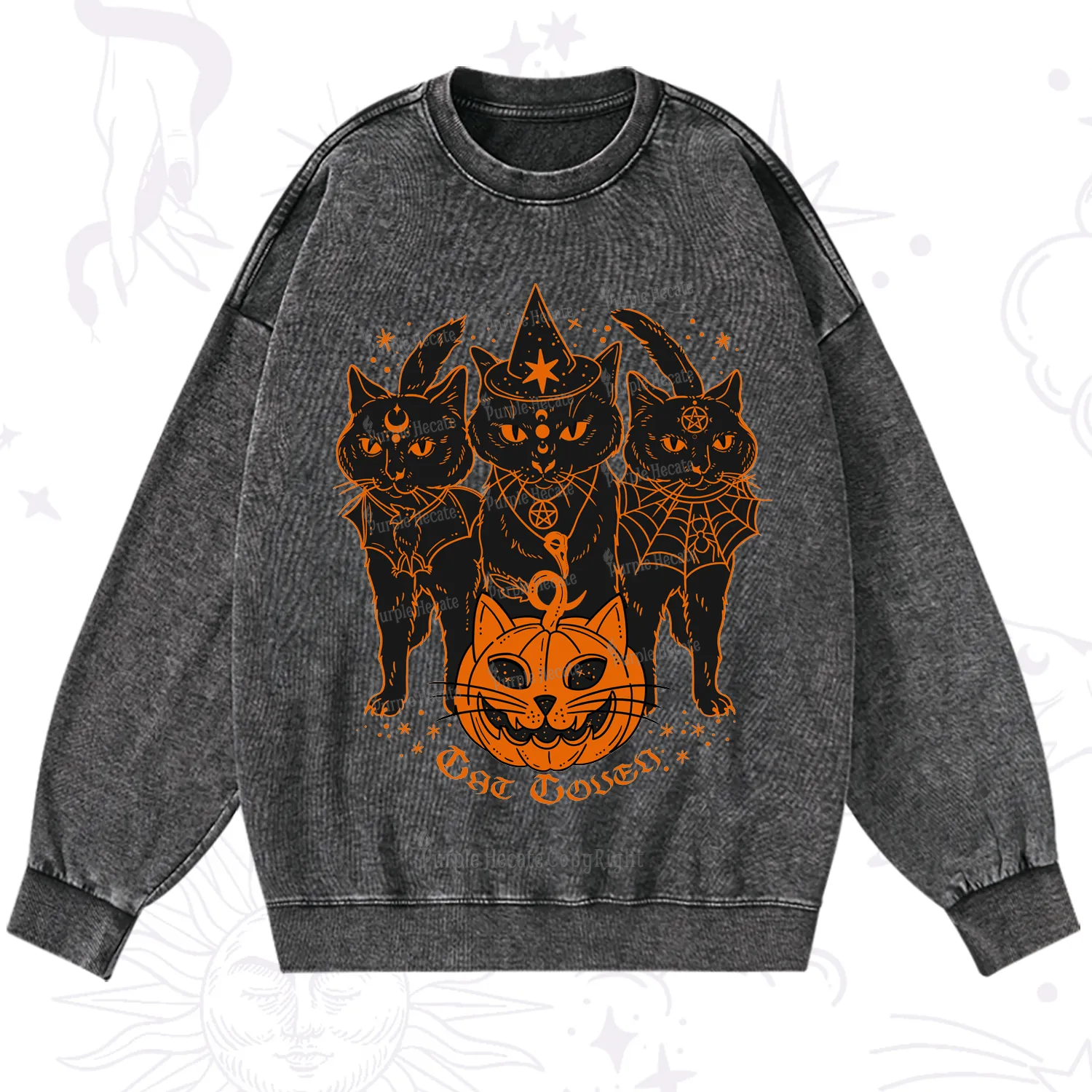 Purplehecate Pumpkin Witch Cat Coven Halloween Washed Sweatshirt