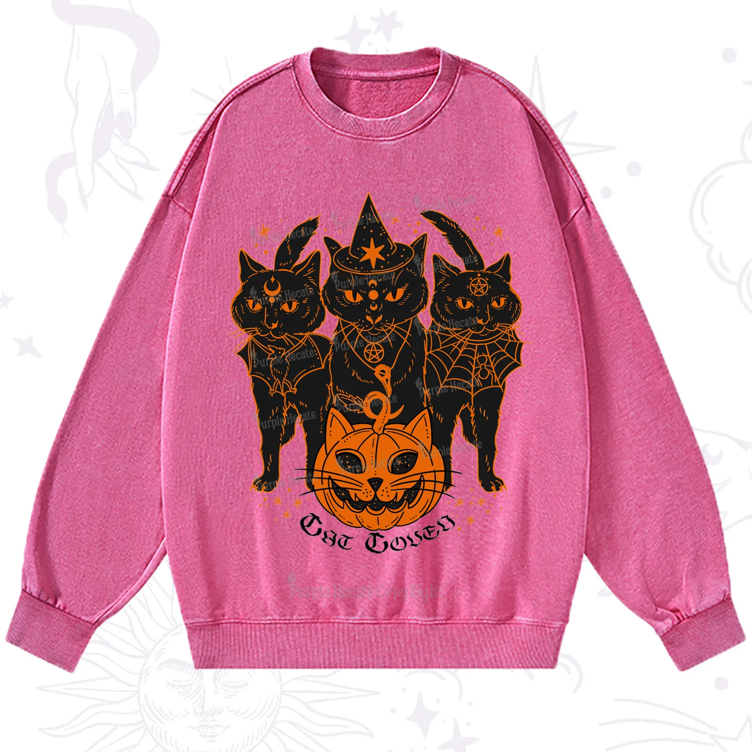 Purplehecate Pumpkin Witch Cat Coven Halloween Washed Sweatshirt