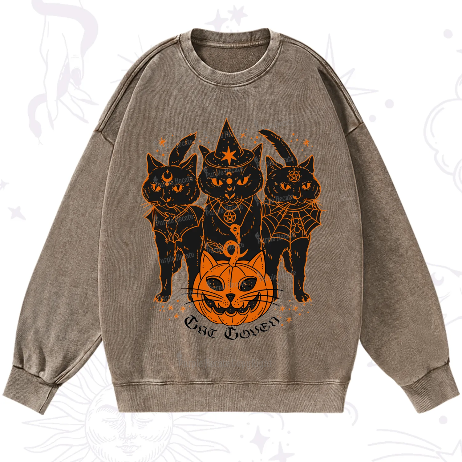 Purplehecate Pumpkin Witch Cat Coven Halloween Washed Sweatshirt