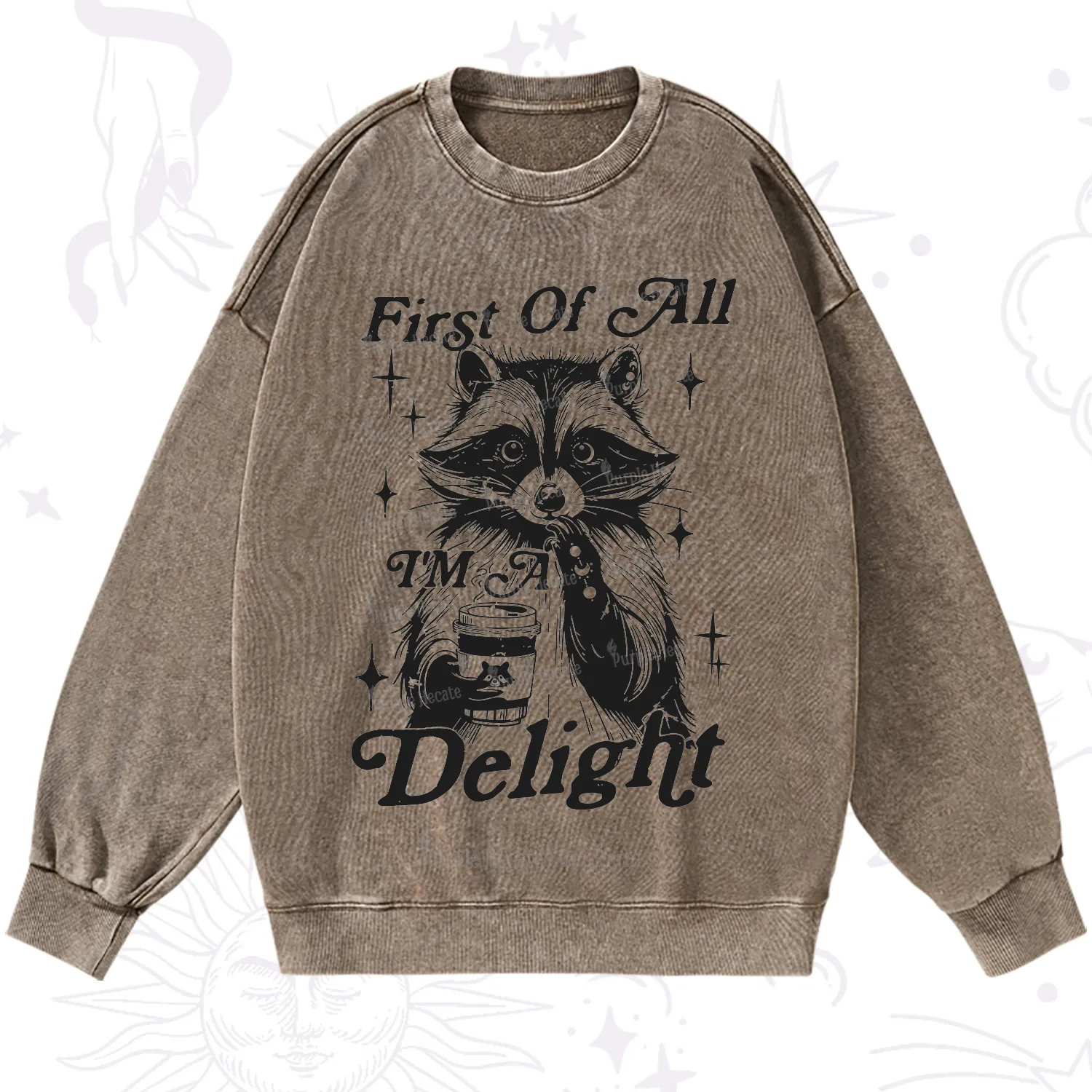 Purplehecate First Of All I'm A Delightful Funny Raccoon Washed Sweatshirt