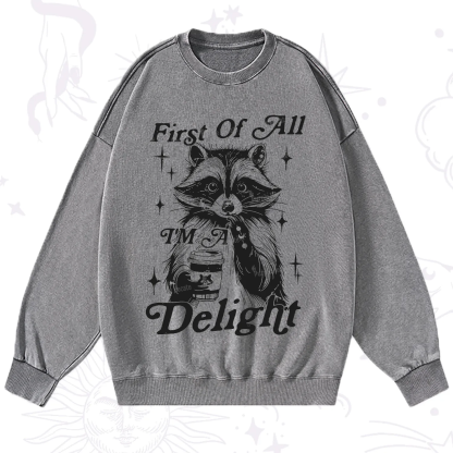 Purplehecate First Of All I'm A Delightful Funny Raccoon Washed Sweatshirt
