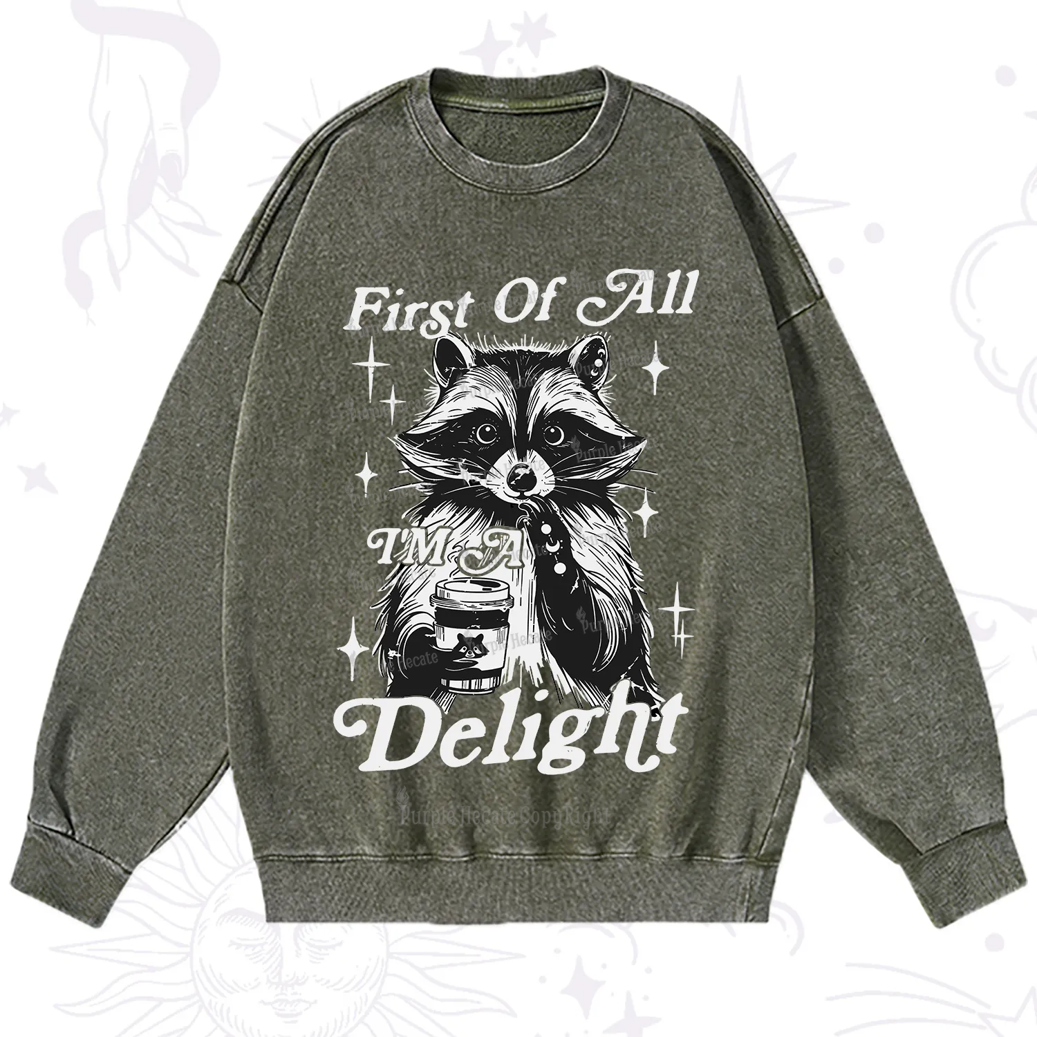 Purplehecate First Of All I'm A Delightful Funny Raccoon Washed Sweatshirt