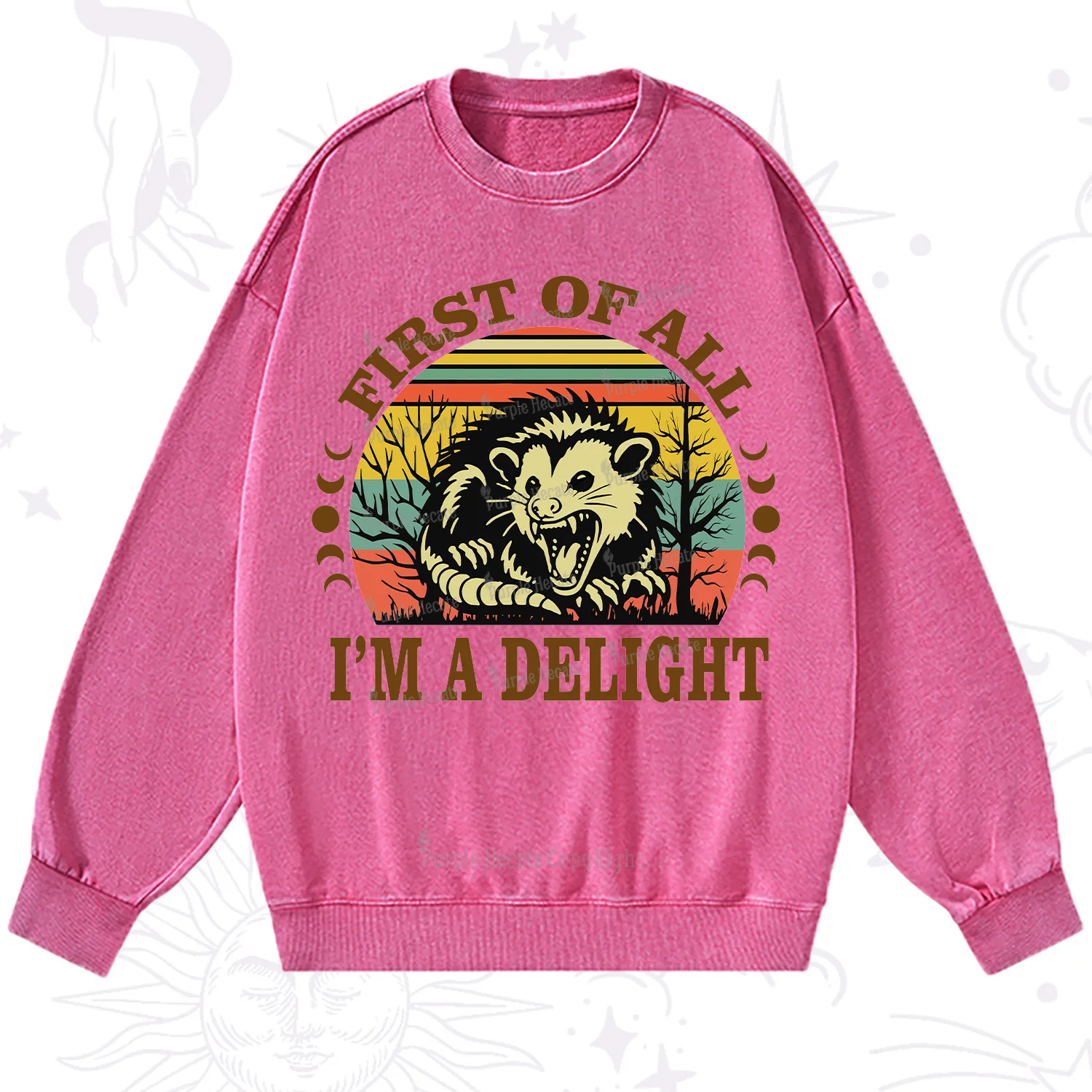 Purplehecate First Of All I'm A Delightful Opossum Washed Sweatshirt
