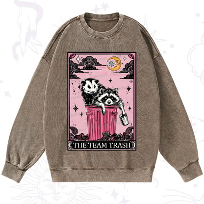 Purplehecate The Team Trash Raccoon & Possum Tarot Washed Sweatshirt