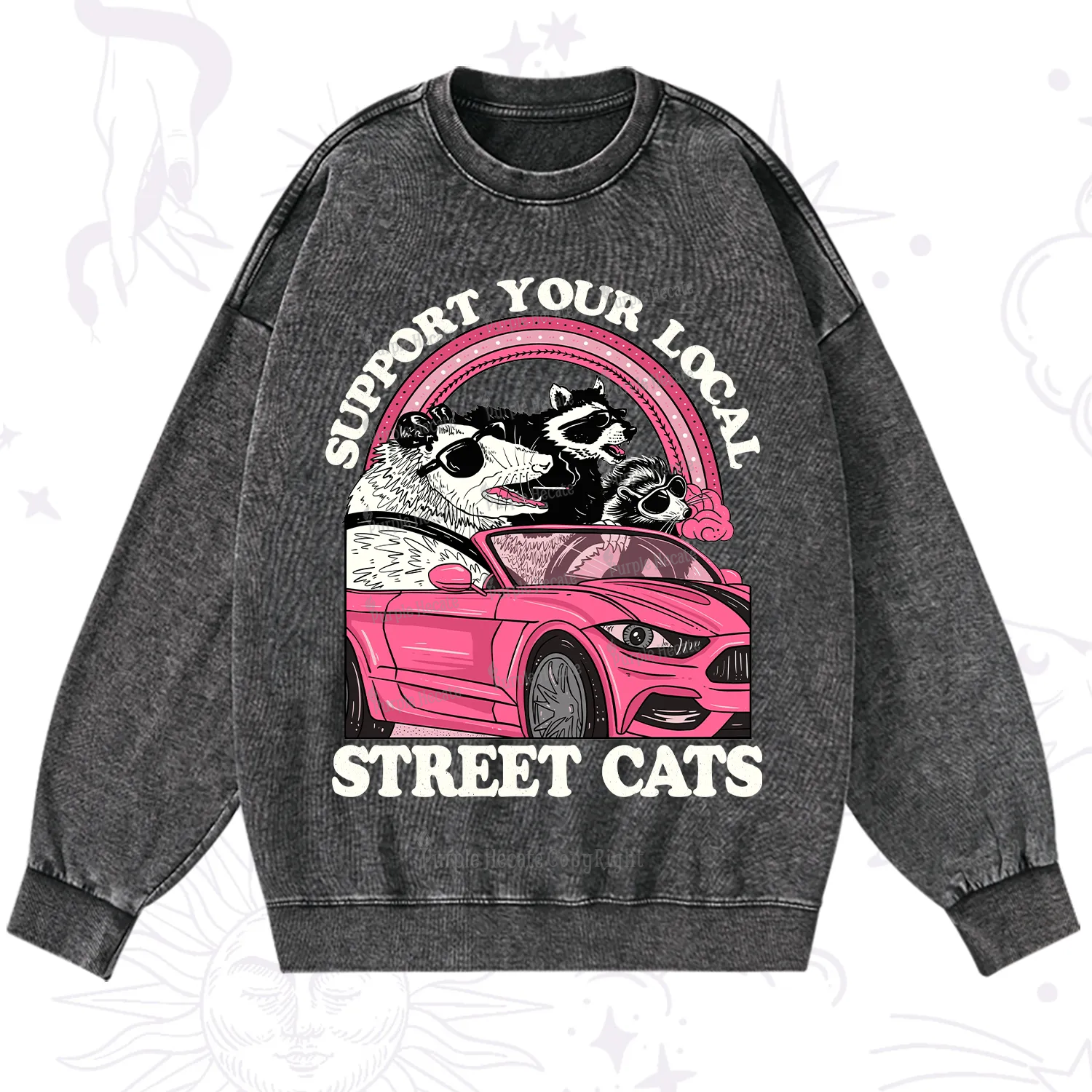 Purplehecate Support Local Street Cats Washed Sweatshirt