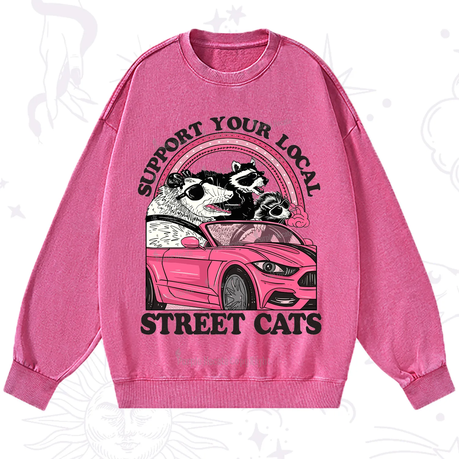 Purplehecate Support Local Street Cats Washed Sweatshirt