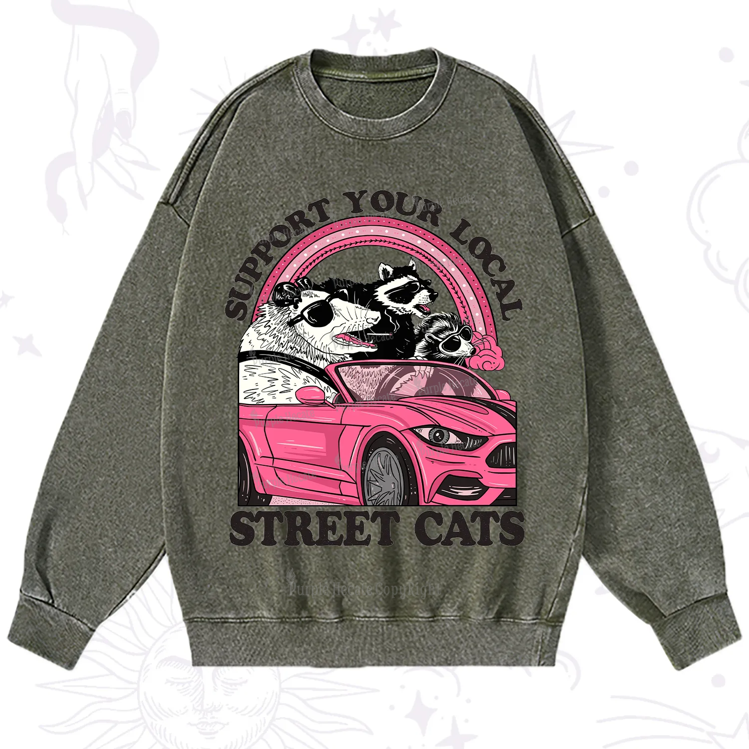 Purplehecate Support Local Street Cats Washed Sweatshirt