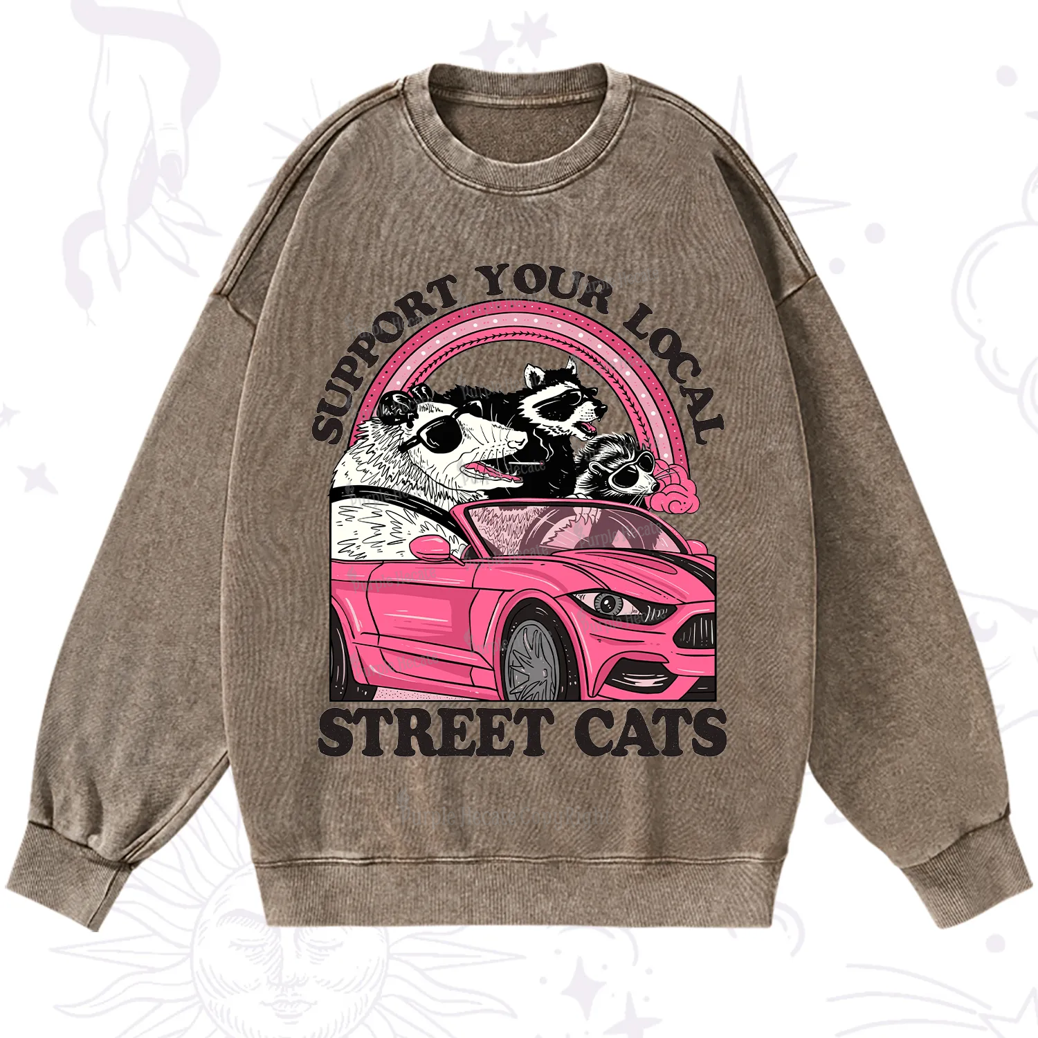 Purplehecate Support Local Street Cats Washed Sweatshirt