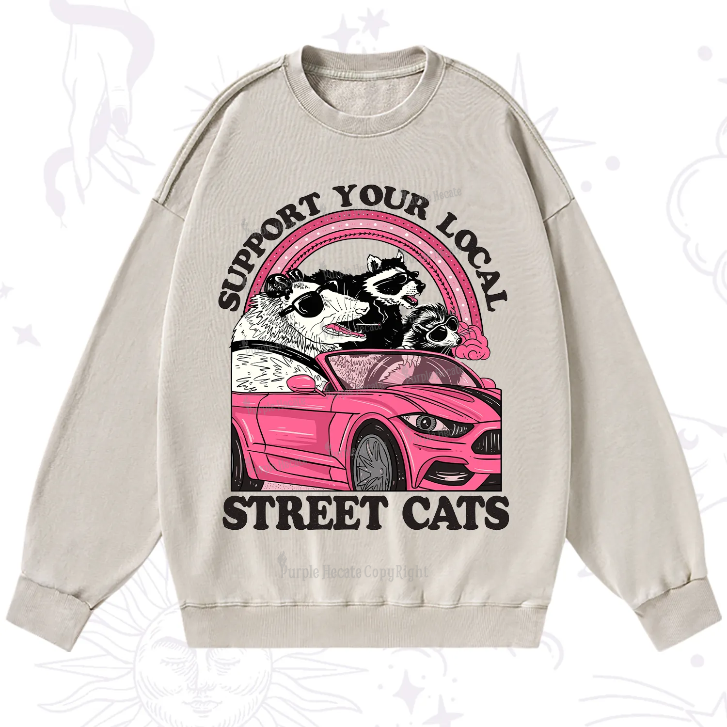 Purplehecate Support Local Street Cats Washed Sweatshirt