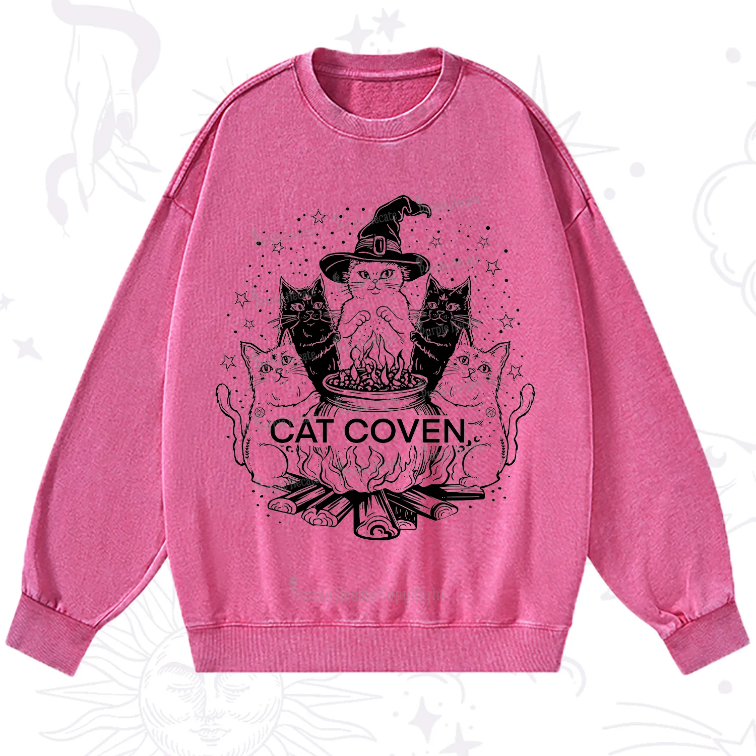 Purplehecate Witchy Cat Coven Washed Sweatshirt