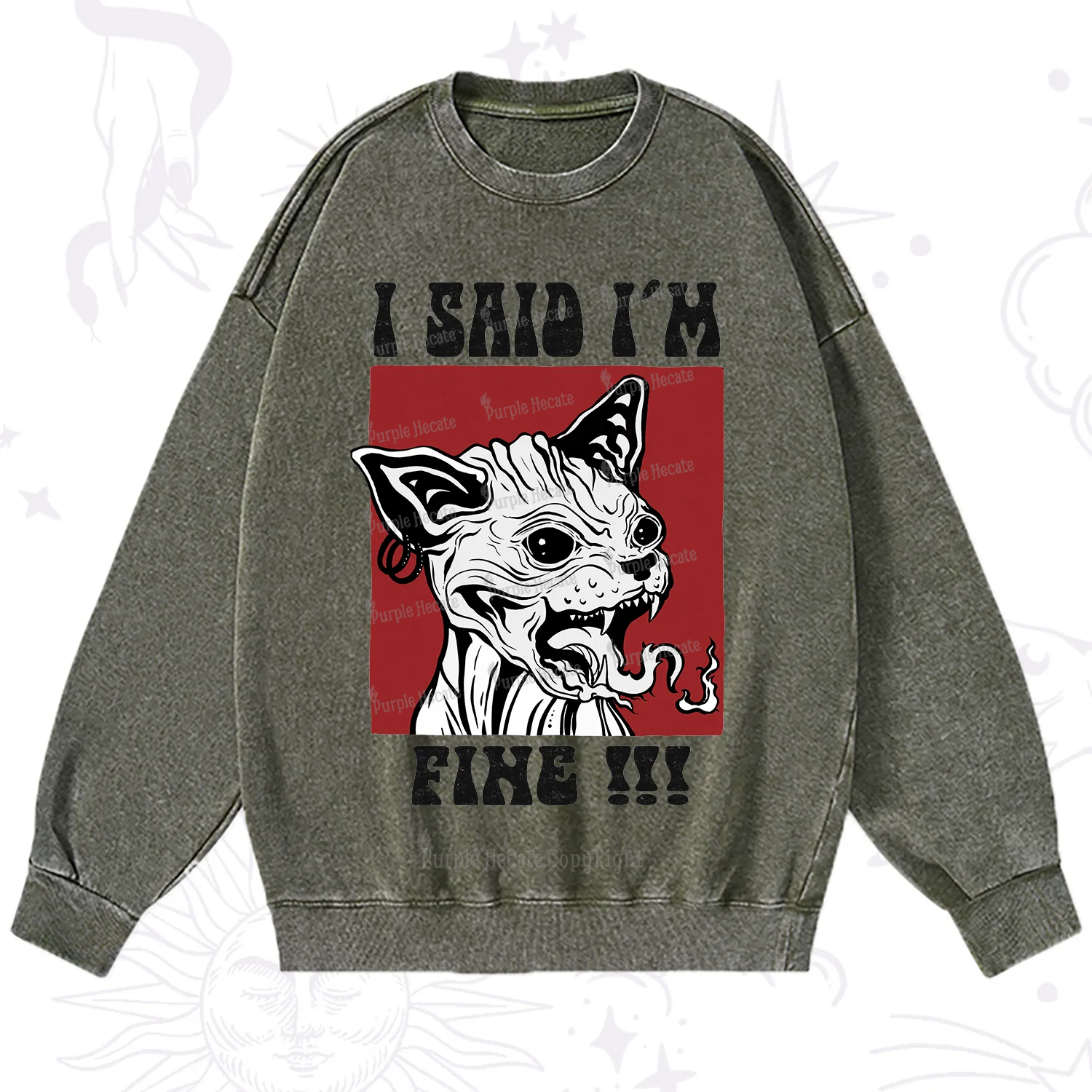 Purplehecate Angry Cat Washed Sweatshirt