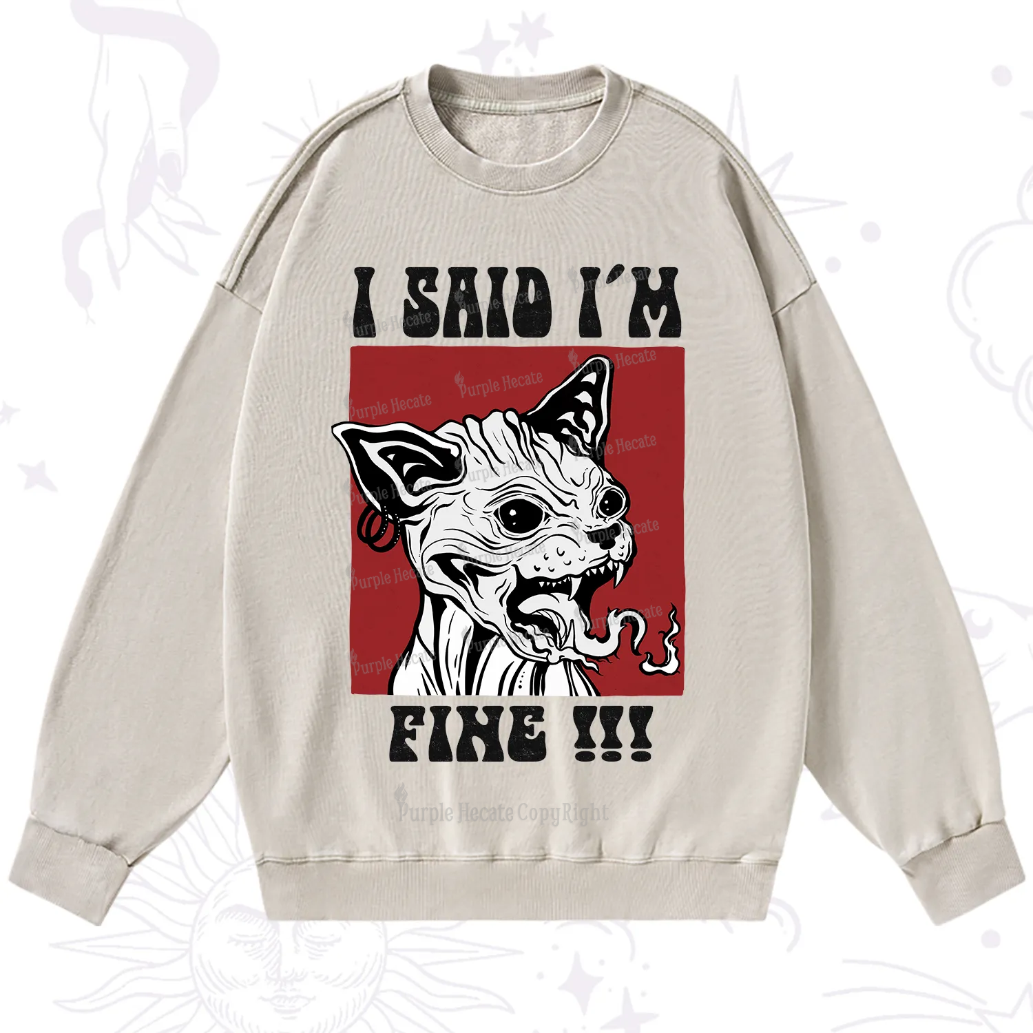 Purplehecate Angry Cat Washed Sweatshirt