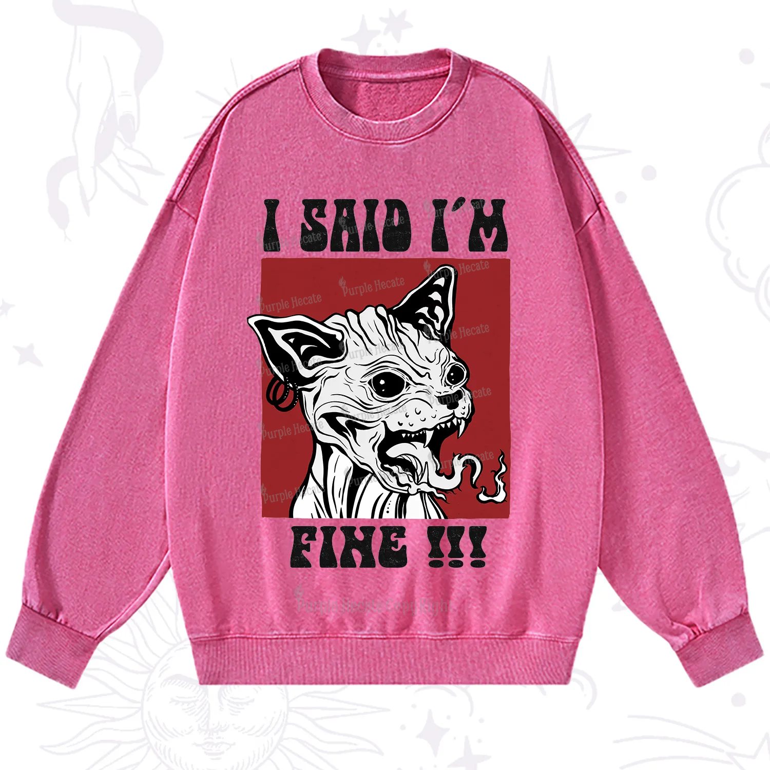Purplehecate Angry Cat Washed Sweatshirt