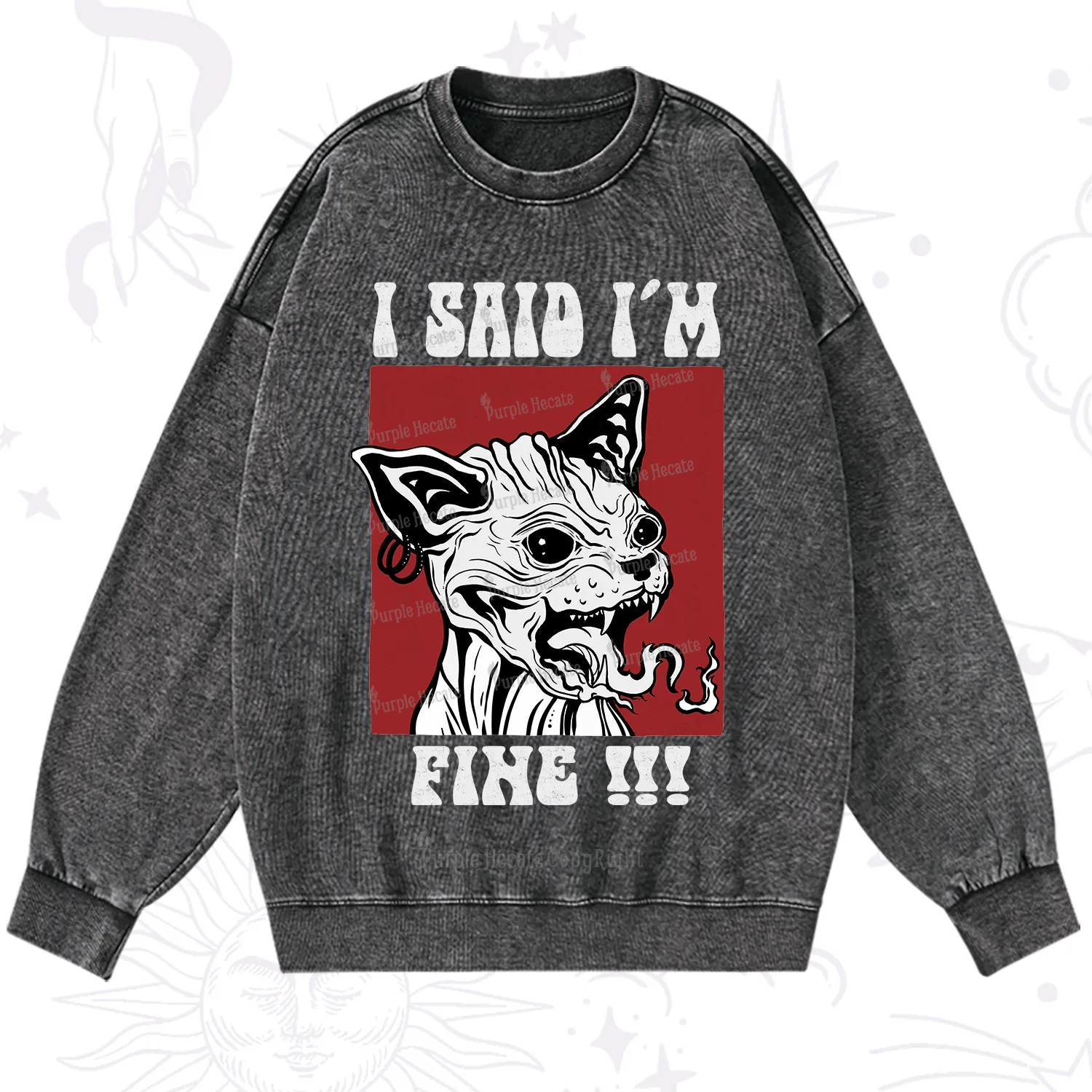 Purplehecate Angry Cat Washed Sweatshirt