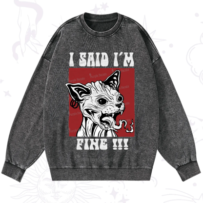 Purplehecate Angry Cat Washed Sweatshirt
