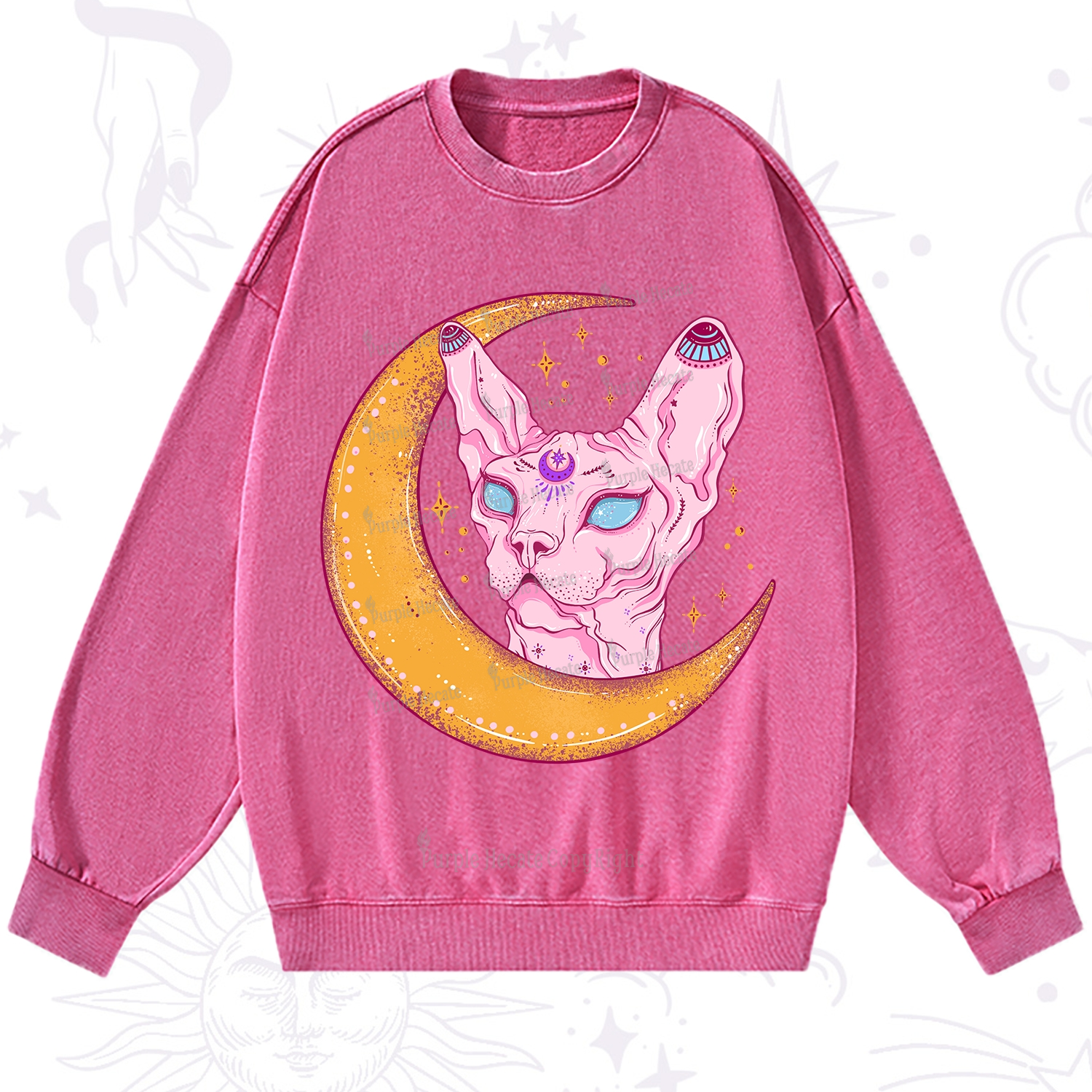 Purplehecate Mystical Witchy Cat Washed Sweatshirt