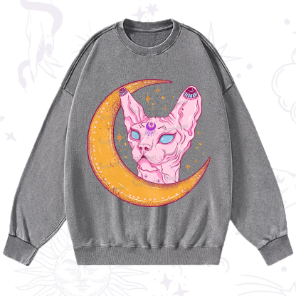 Purplehecate Mystical Witchy Cat Washed Sweatshirt
