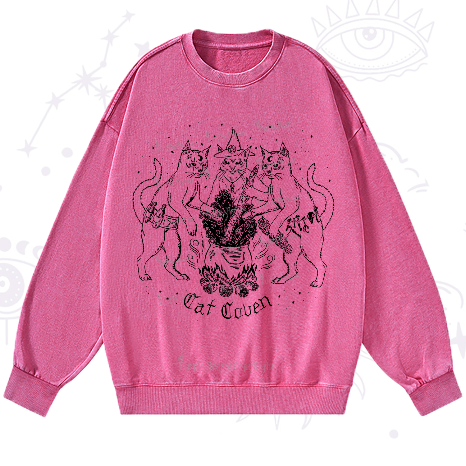 Purplehecate Cat Coven Washed Sweatshirt