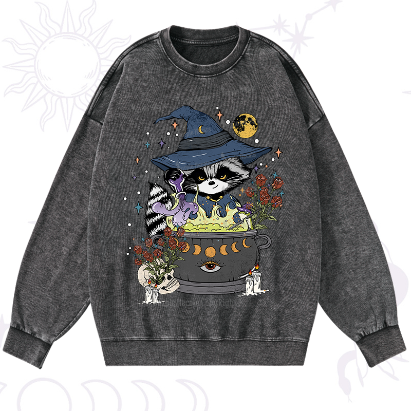 Alchemy Journey of the Raccoon Washed Sweatshirt