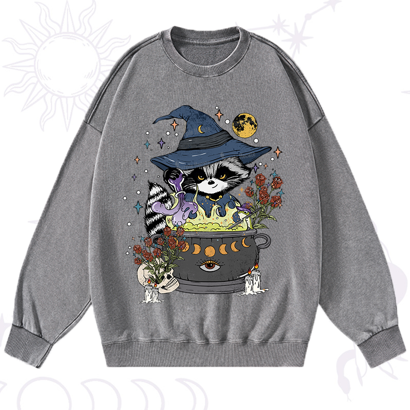 Alchemy Journey of the Raccoon Washed Sweatshirt