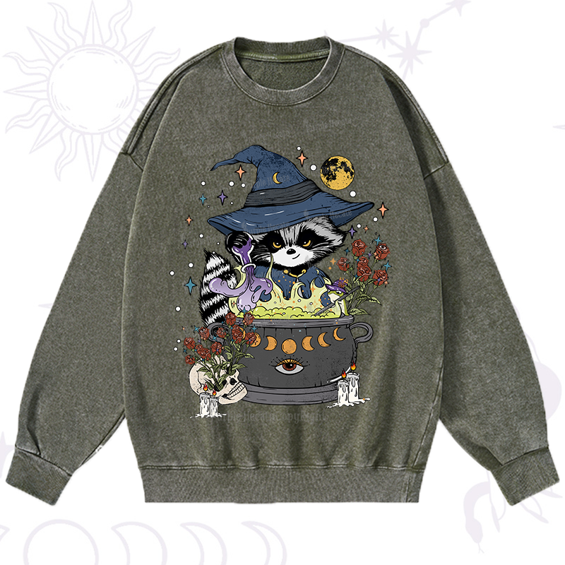 Alchemy Journey of the Raccoon Washed Sweatshirt