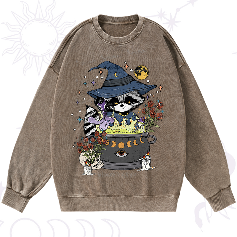 Alchemy Journey of the Raccoon Washed Sweatshirt