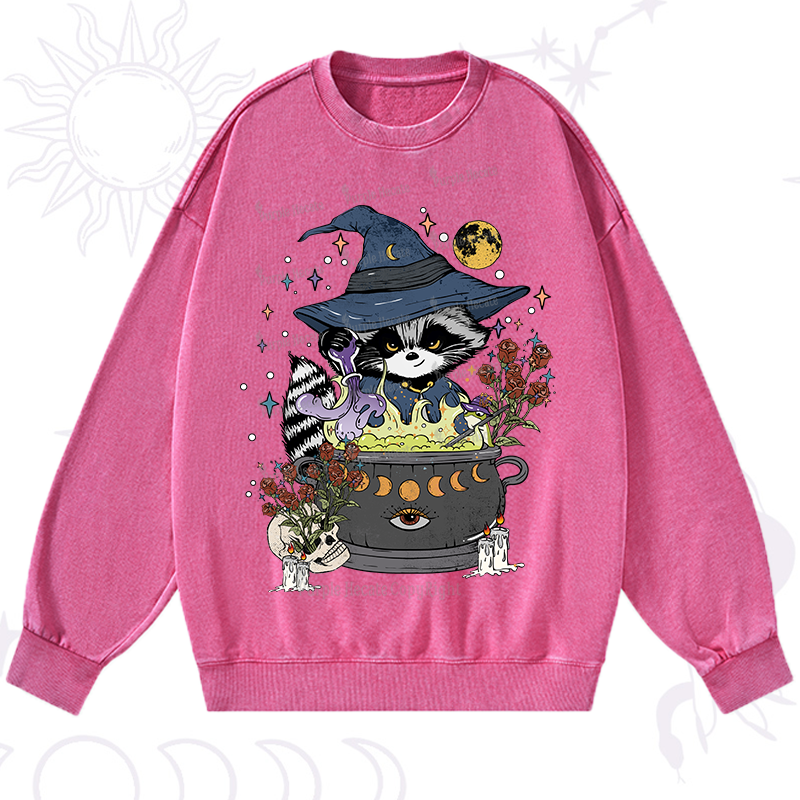 Alchemy Journey of the Raccoon Washed Sweatshirt