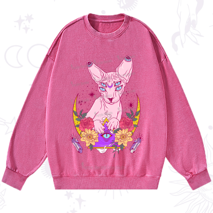 Purplehecate Moon Phase Cat Washed Sweatshirt