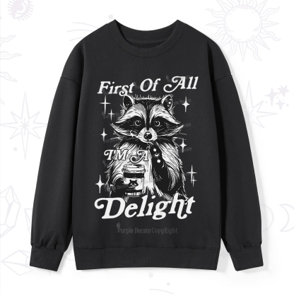 Purplehecate First Of All I'm A Delightful Funny Raccoon Sweatshirt