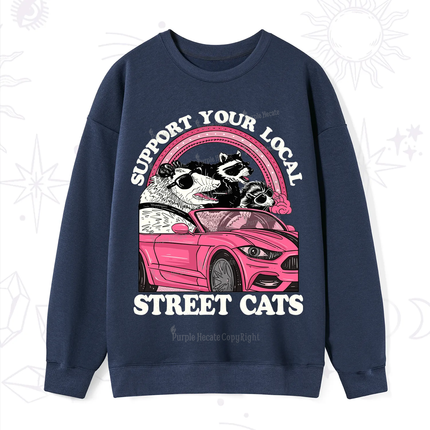 Purplehecate Support Local Street Cats Sweatshirt